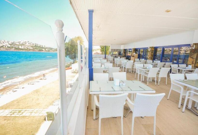 호텔 Regulus Beach Resort