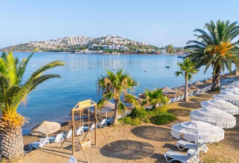 호텔 Regulus Beach Resort