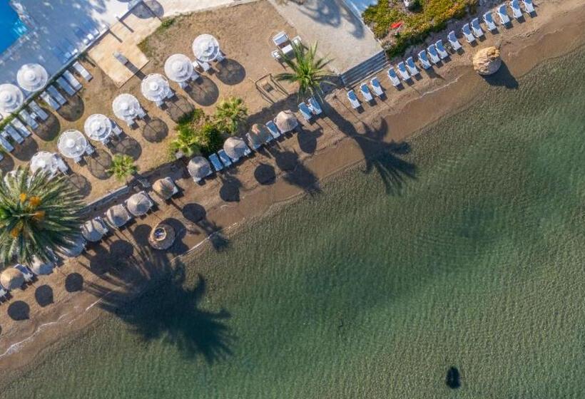 Отель Regulus Beach Resort