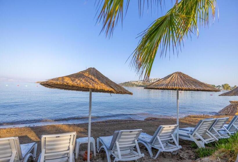 Отель Regulus Beach Resort