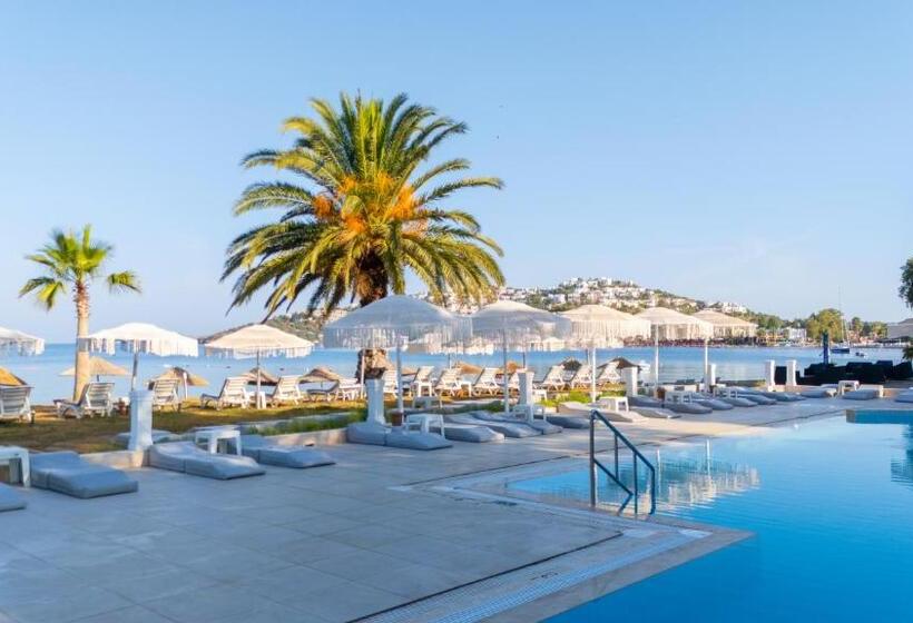 호텔 Regulus Beach Resort