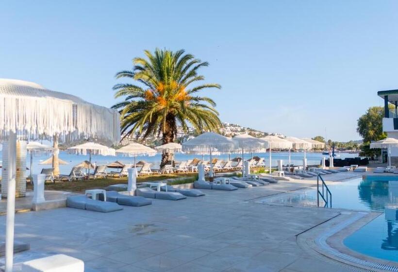 호텔 Regulus Beach Resort