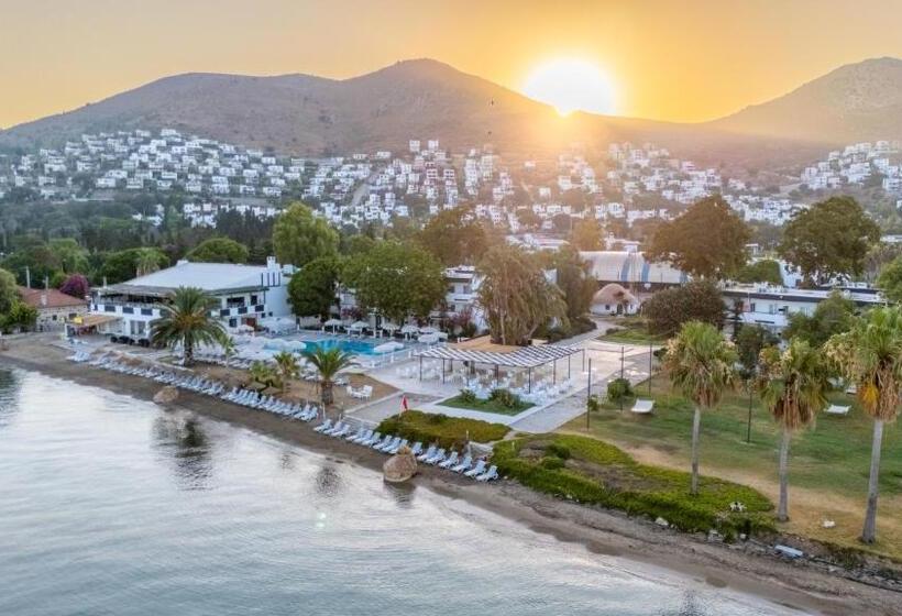 호텔 Regulus Beach Resort