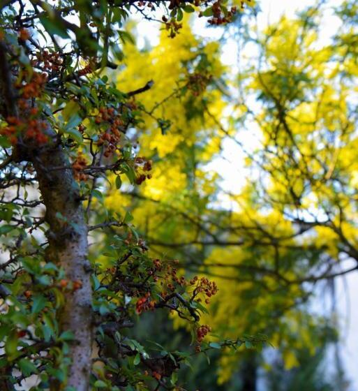 ホテル Restorant Halal Il Tramonto