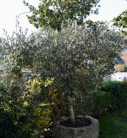 ホテル Restorant Halal Il Tramonto