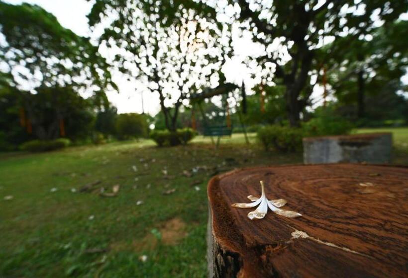 בית מלון כפרי Tenpy Tiny Enchanting Tintin At Sheilma Farm, Ncr