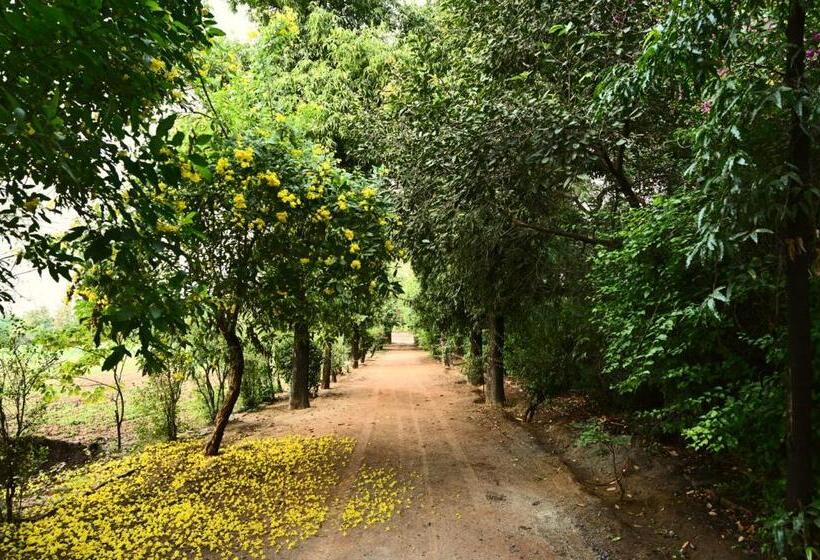 בית מלון כפרי Tenpy Tiny Enchanting Tintin At Sheilma Farm, Ncr