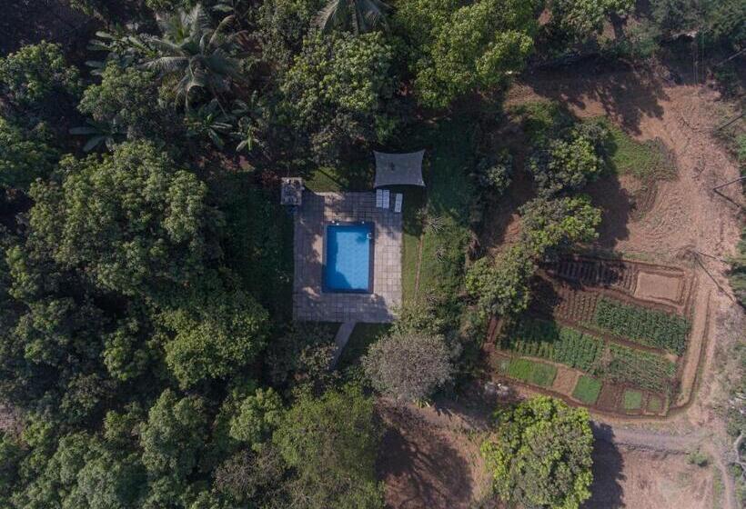 Hotel Tenpy Tiny Snug Obelix At The Homested, Neral