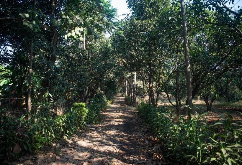 Hotel Tenpy Tiny Snug Obelix At The Homested, Neral