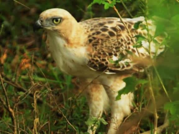 בית מלון כפרי The Beauty Of Udawalawa