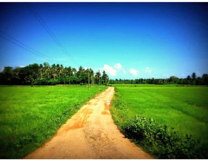 בית מלון כפרי The Beauty Of Udawalawa