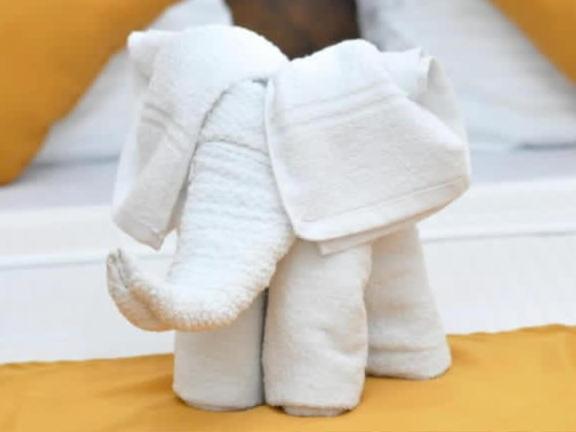 בית מלון כפרי The Beauty Of Udawalawa