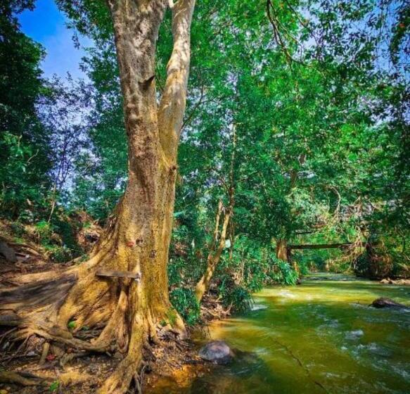 בית מלון כפרי The Beauty Of Udawalawa