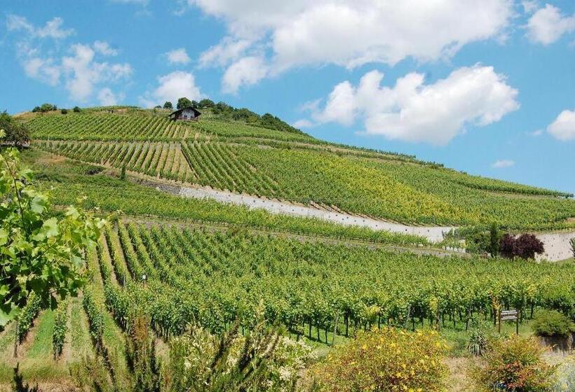 호텔 Vulkanstüble