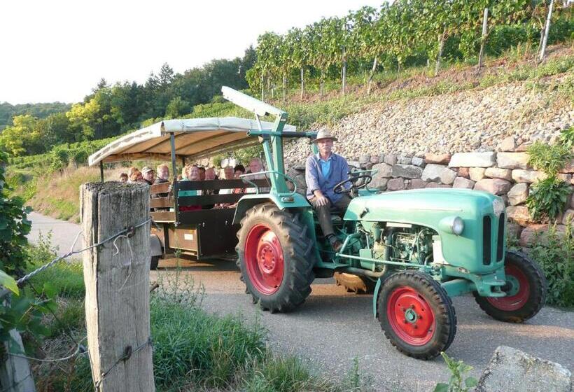 호텔 Vulkanstüble