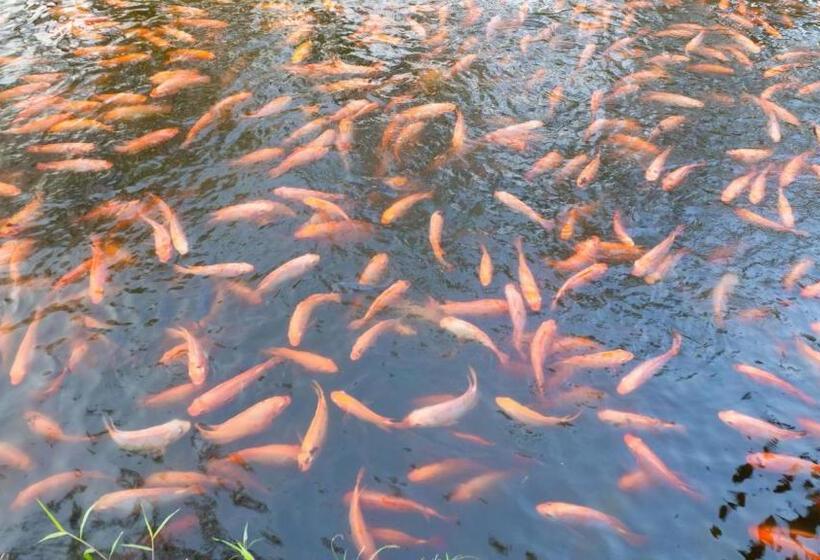 هتل Y Restaurante La Cachamera