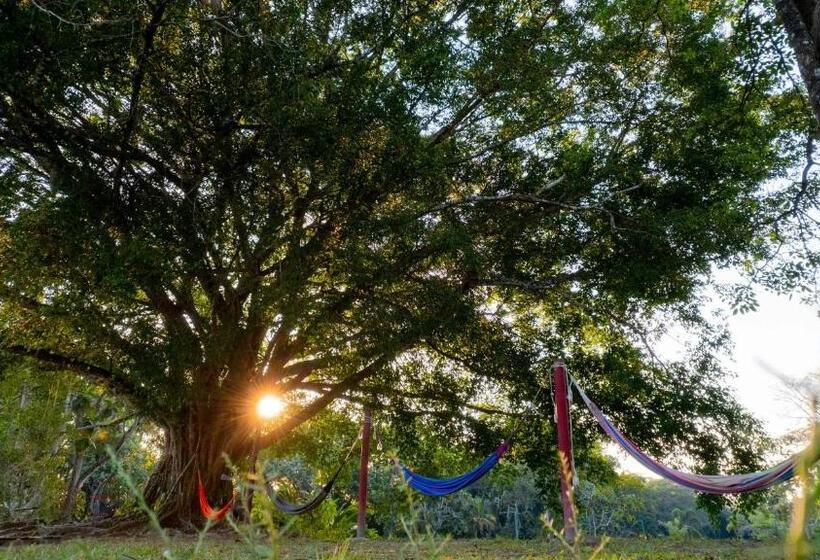 Отель Y Restaurante La Cachamera