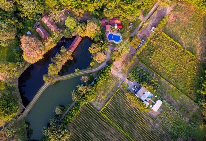 هتل Y Restaurante La Cachamera