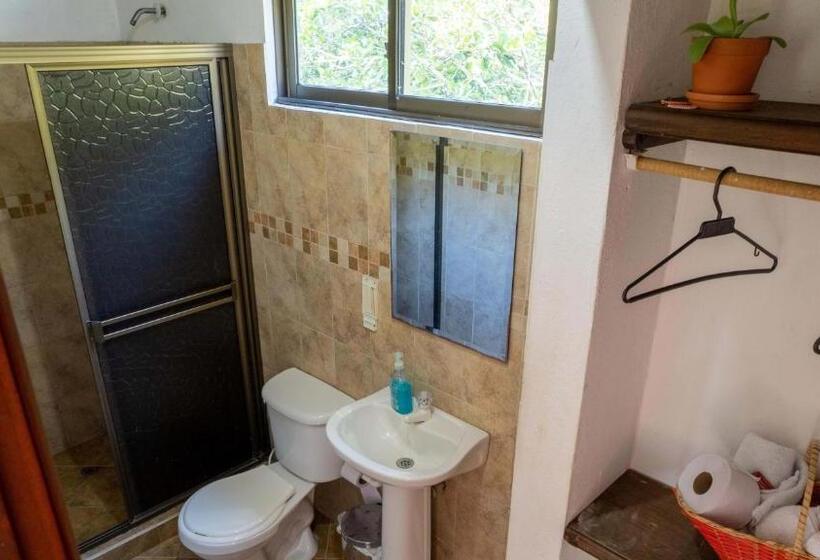 Отель Y Restaurante La Cachamera