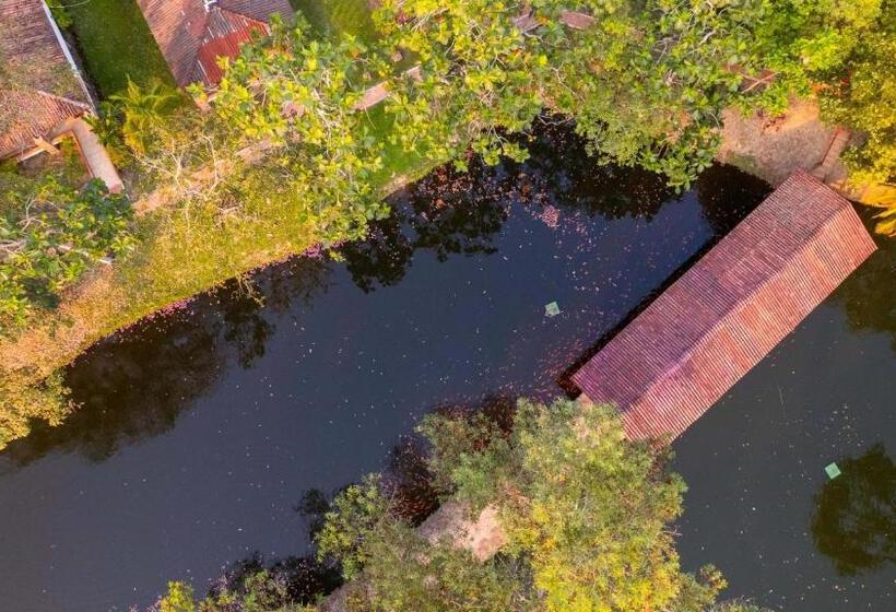 Отель Y Restaurante La Cachamera