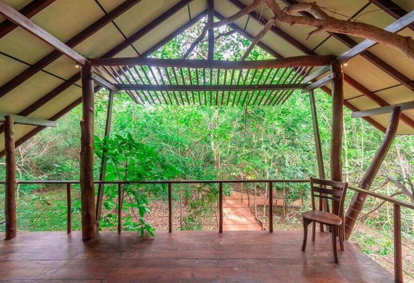 Kaala Kalaththewa Luxury Eco Resort