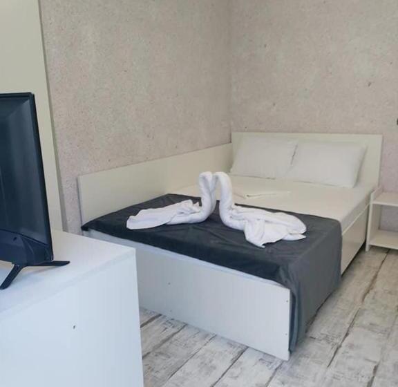 ペンション Casa Bucuriei