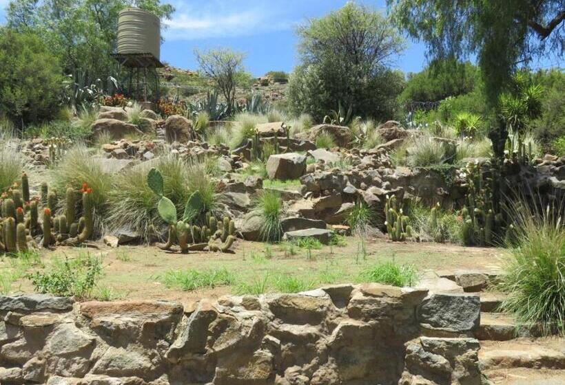 بنسيون Cobblestone Court