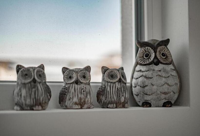 פנסיון July S Guest House