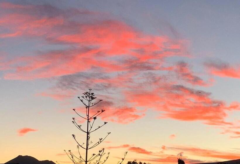 بنسيون Love Story