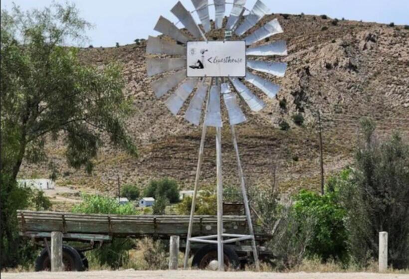 بنسيون Magoos On 62