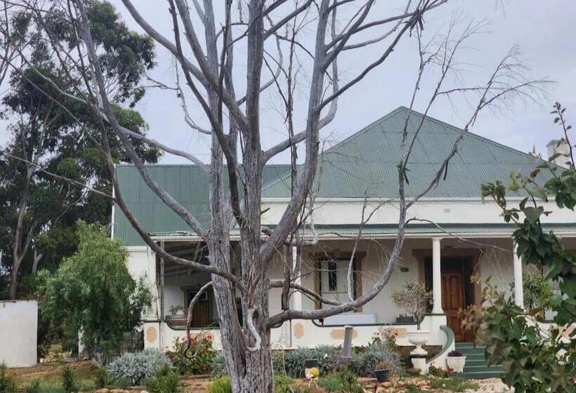 بنسيون Magoos On 62