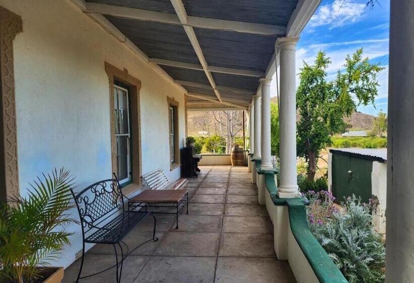 بنسيون Magoos On 62