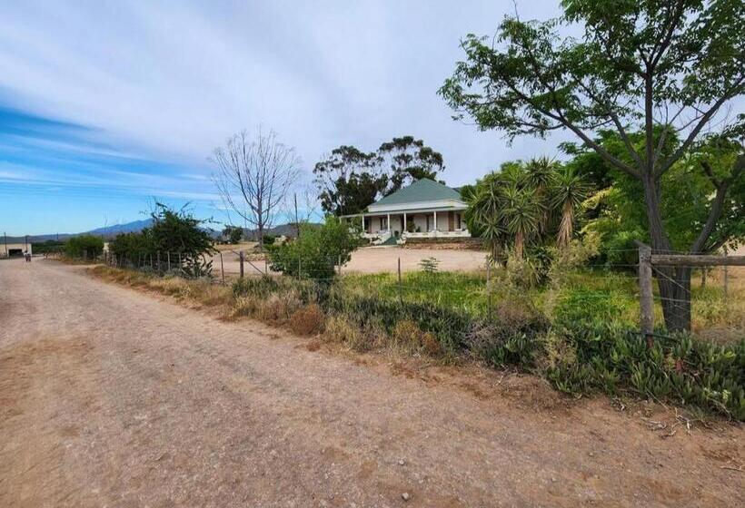 بنسيون Magoos On 62