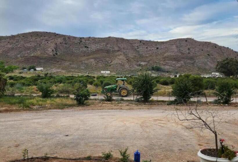 بنسيون Magoos On 62