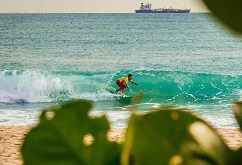 膳宿费 Pousada Perto Do Mar