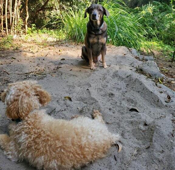 פנסיון Teques Escape Natural