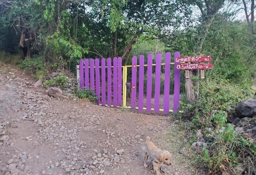 פנסיון Teques Escape Natural