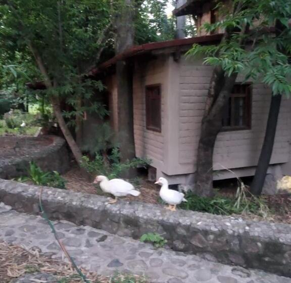 פנסיון Teques Escape Natural