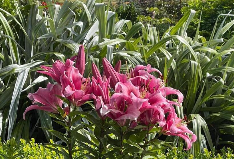 פנסיון The Hill House Panorama