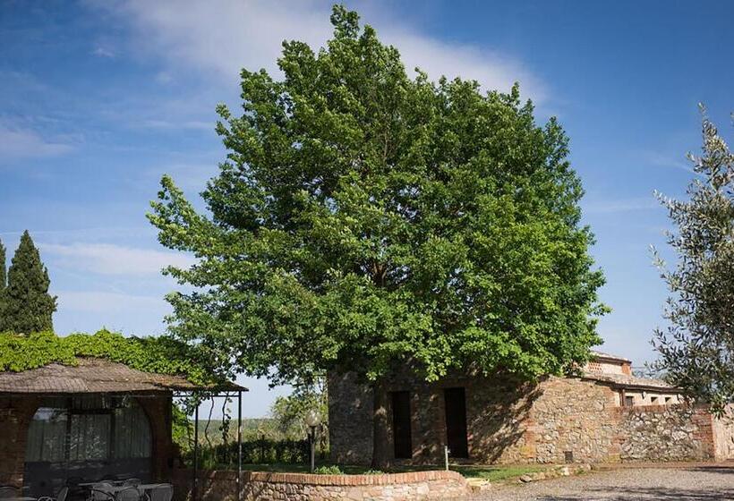 Agriturismo Monacianello   Fontebelvedere Wine Estate