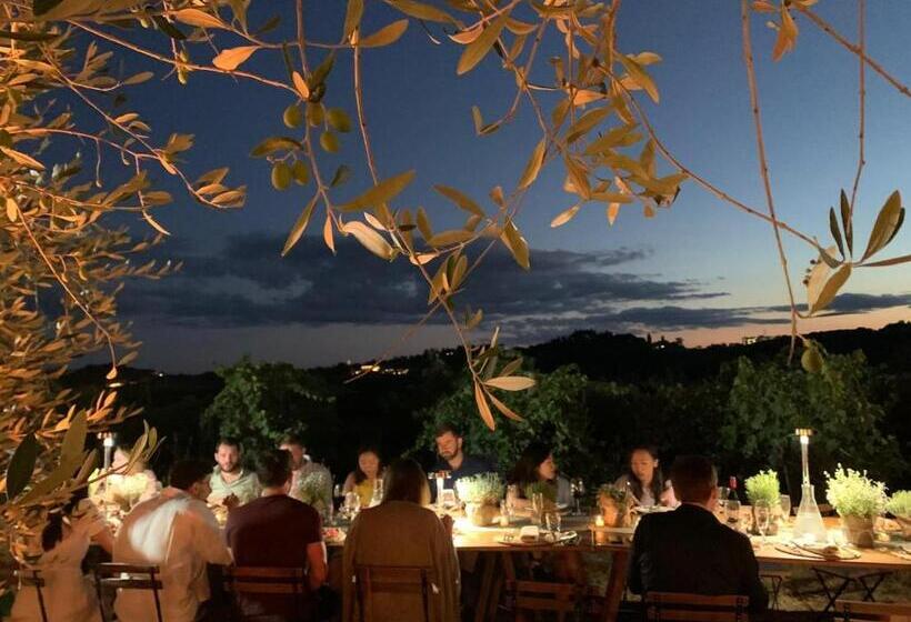 Agriturismo Monacianello   Fontebelvedere Wine Estate