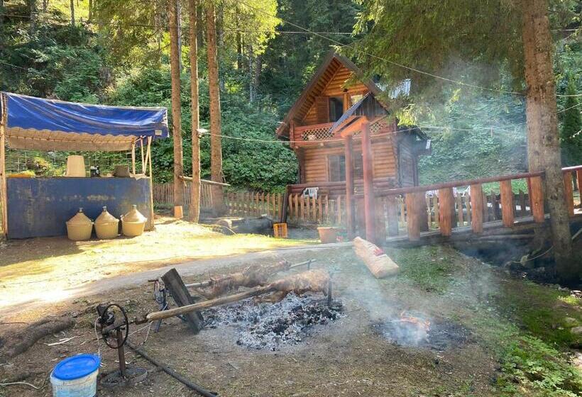 هاستل Mrestilište Vareš