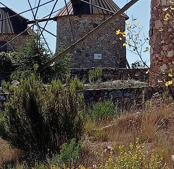 住宿加早餐  A Casa Amarela Guest Room