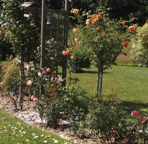 住宿加早餐  Aux Volets Bleus