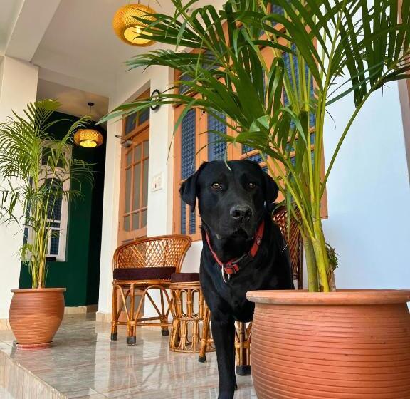 민박 Boho Thikana Homestay In Bir