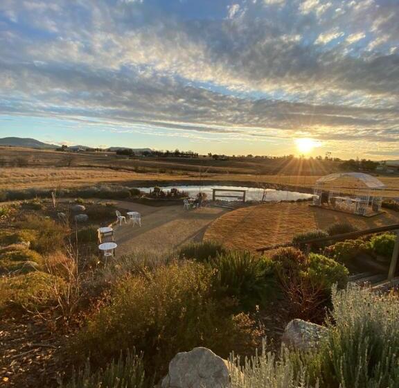 צימר Carpe Diem Guesthouse