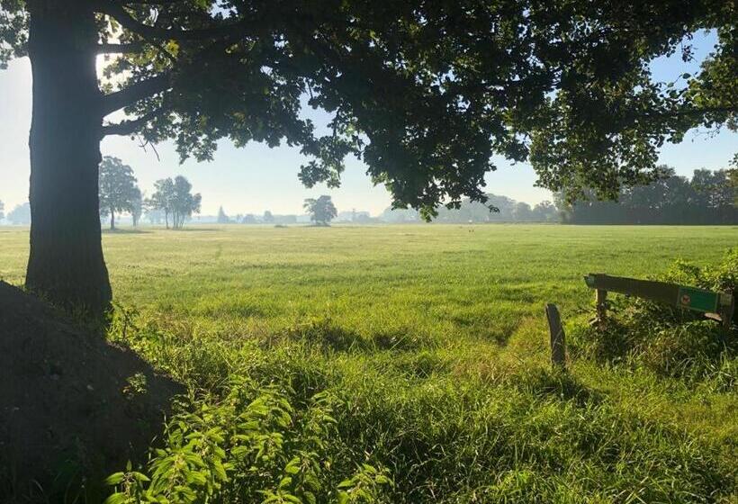 ベッドアンドブレックファースト Het Zwaluwnest