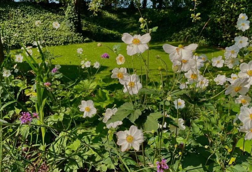 تختخواب و صبحانه Hoeve Bij Vosselen