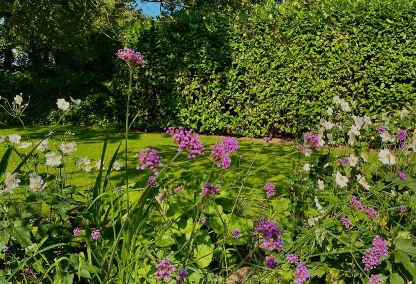 تختخواب و صبحانه Hoeve Bij Vosselen