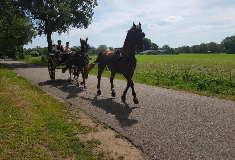 צימר Huisjeaandedinkel